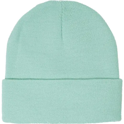 FWRD Aspen Beanie Mint Green